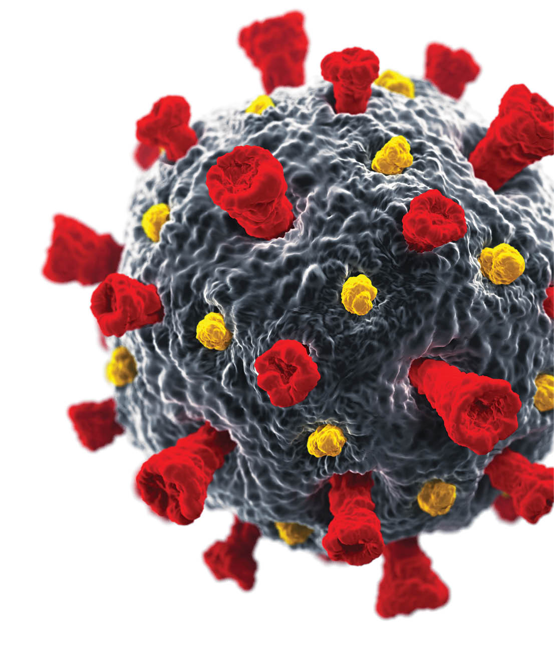 Coronavirus  COVID-19  3D Render